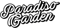 Paradiso