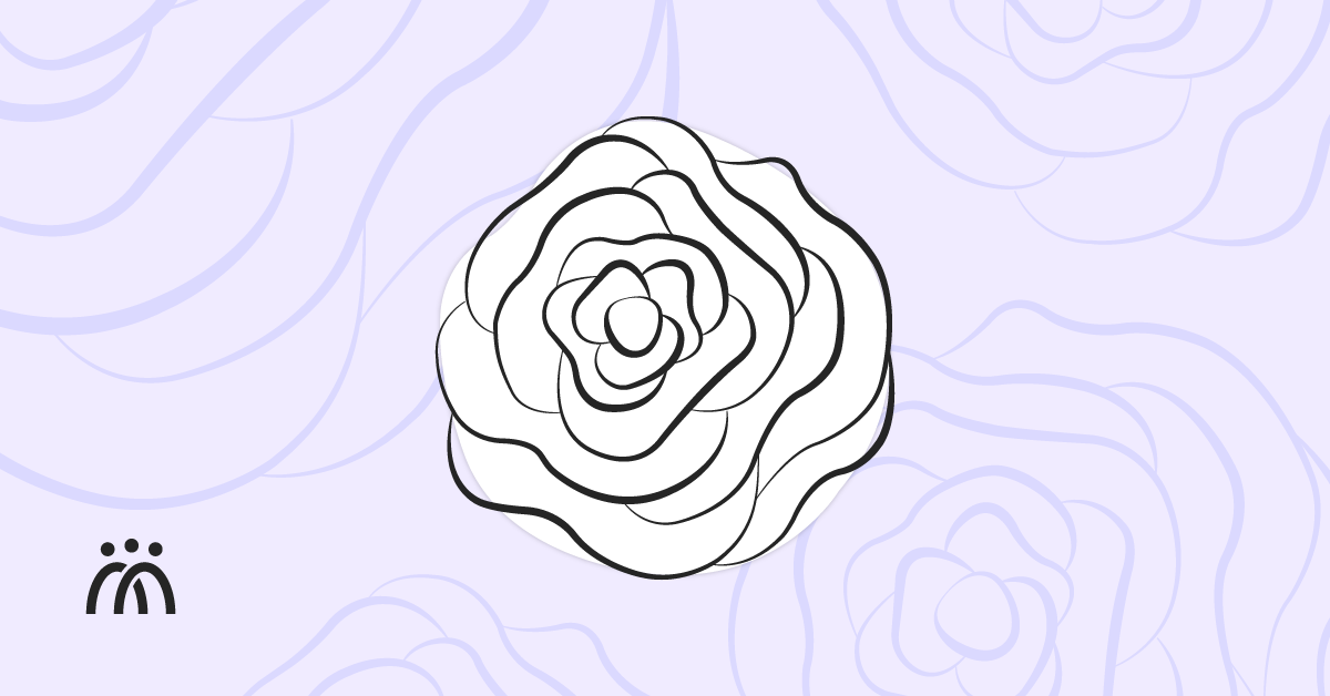 Disseny de la Fundació IRES amb la Rosa Blanca